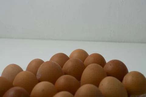 Chicken egg with plastic container on white background 48 Stock Photos