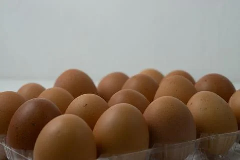 Chicken egg with plastic container on white background 44 Stock Photos