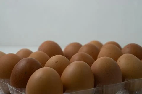 Chicken egg with plastic container on white background 39 Stock Photos