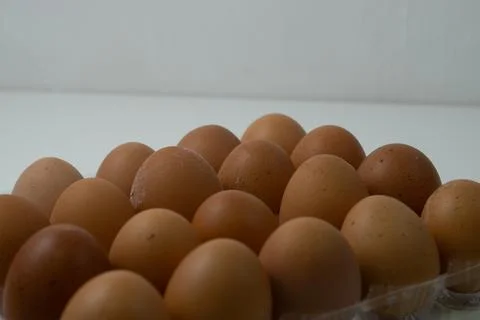 Chicken egg with plastic container on white background 33 Stock Photos