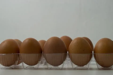 Chicken egg with plastic container on white background 29 Stock Photos