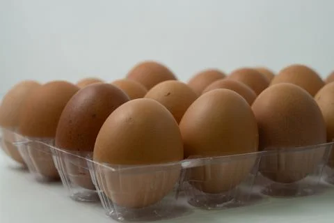 Chicken egg with plastic container on white background 26 Stock Photos