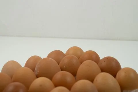 Chicken egg with plastic container on white background 25 Stock Photos