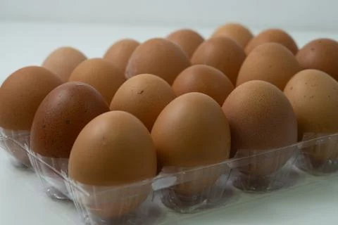 Chicken egg with plastic container on white background 24 Stock Photos