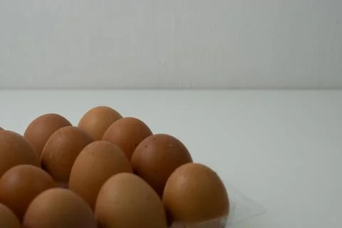 Chicken egg with plastic container on white background 23 Stock Photos