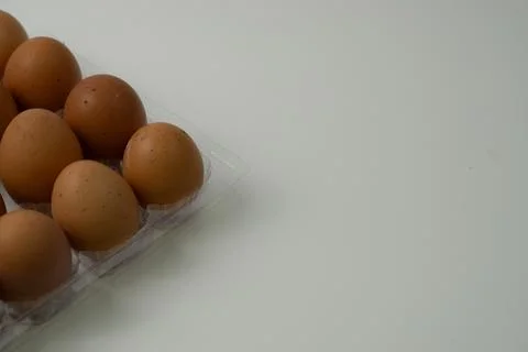 Chicken egg with plastic container on white background 21 Stock Photos