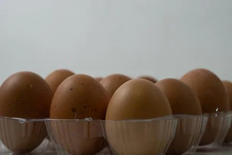 Chicken egg with plastic container on white background 18 Stock Photos