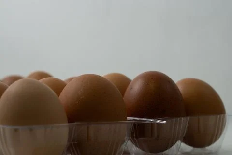 Chicken egg with plastic container on white background 9 Stock Photos