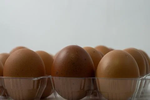 Chicken egg with plastic container on white background 8 Stock Photos