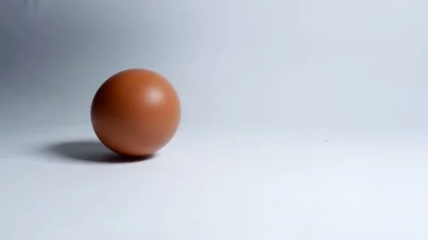 Chicken egg playing Stock Footage 230972559