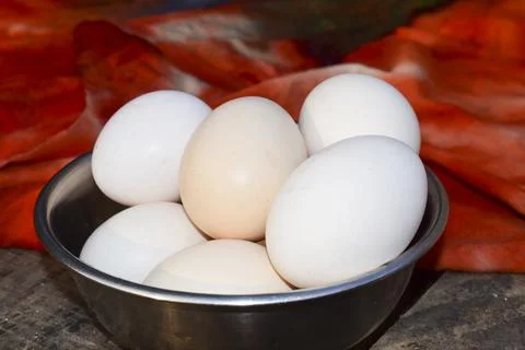 Chicken egg put together Stock Photos