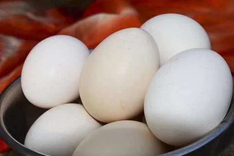 Chicken egg put together Stock Photos