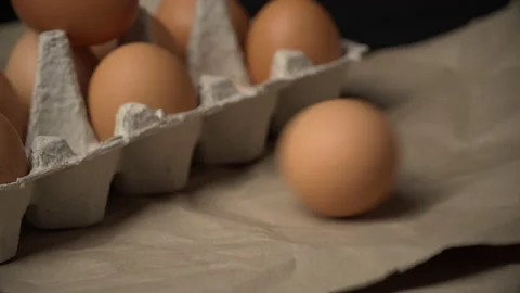 Chicken Egg is Rolling Near the Container Video stock 170708217