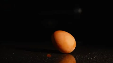 A chicken egg rotates on a dark background. Stock Footage 264406251