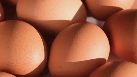 Chicken egg, rotation shot, Chicken fresh raw eggs. Many fresh raw chicken egg 스톡 동영상 166375488