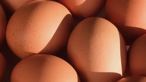 Chicken egg, rotation shot, Chicken fresh raw eggs. Many fresh raw chicken egg Видео 166455161