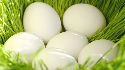 Chicken egg, rotation shot, Chicken fresh raw eggs.Healthy fresh food 스톡 동영상 172358178