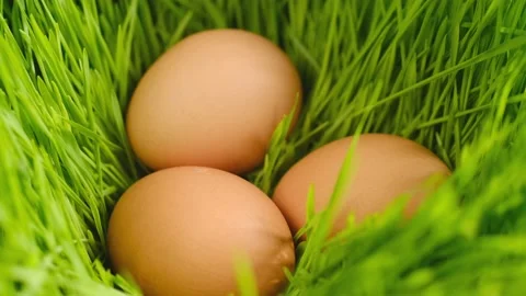 Chicken egg, rotation shot, Chicken fresh raw eggs.Healthy fresh food Stock Footage 175218892