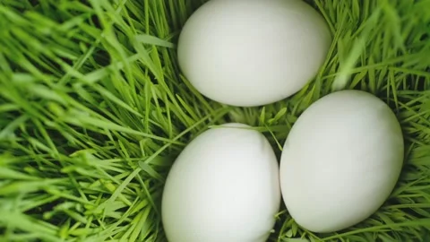 Chicken egg, rotation shot, Chicken fresh raw eggs.Healthy fresh food Stock Footage 184499870