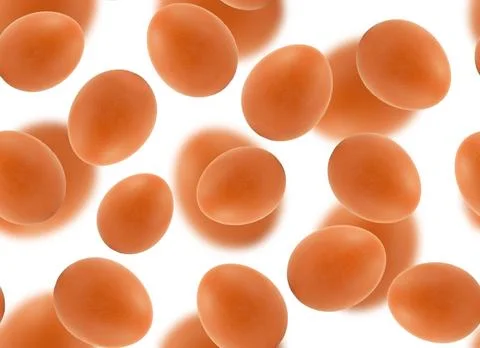 Chicken egg seamless pattern. Eggs on a white background. Stockfoto's