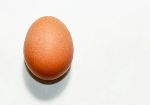 A chicken egg with a shadow on a white background. Stock Photos