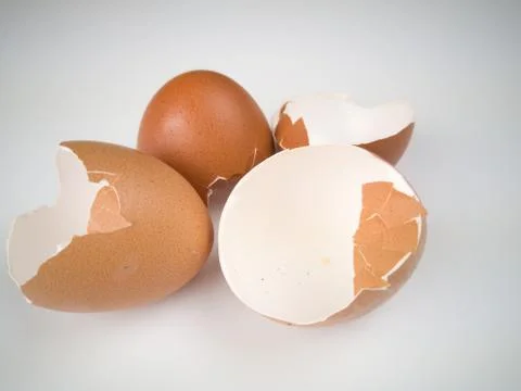 Chicken egg shell 스톡 사진