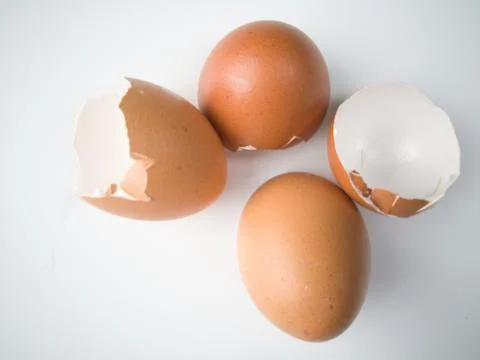 Chicken egg shell 스톡 사진