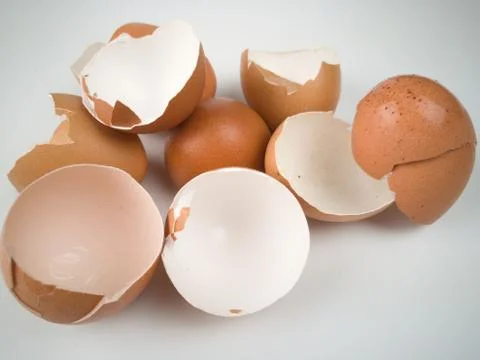 Chicken egg shell 스톡 사진