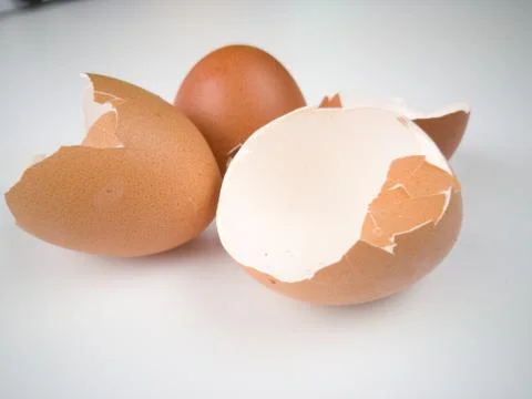 Chicken egg shell 스톡 사진