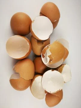 Chicken egg shell 스톡 사진