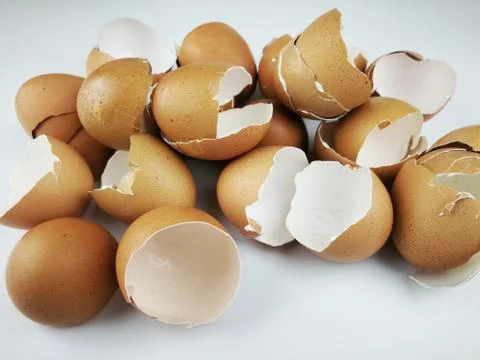 Chicken egg shell 스톡 사진