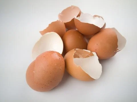 Chicken egg shell 스톡 사진