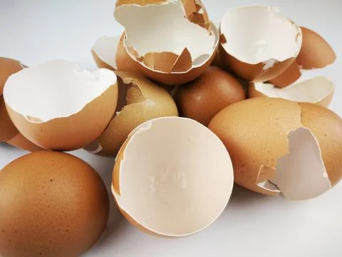 Chicken egg shell 스톡 사진