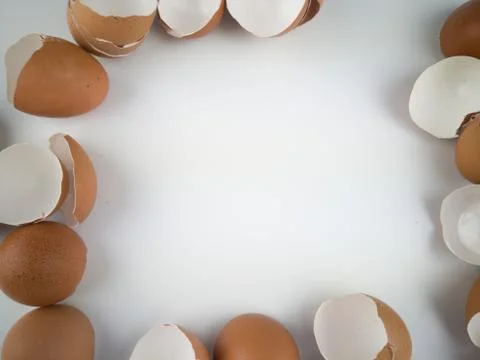 Chicken egg shell 스톡 사진
