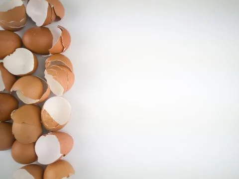 Chicken egg shell 스톡 사진
