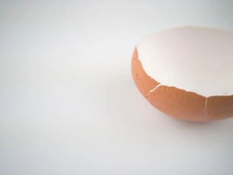 Chicken egg shell 스톡 사진