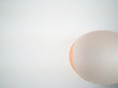 Chicken egg shell 스톡 사진