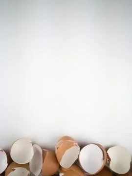 Chicken egg shell Stock Photos