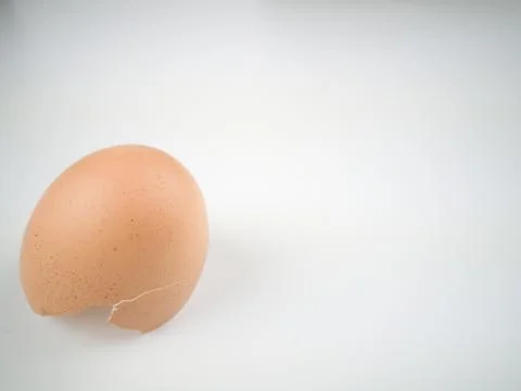 Chicken egg shell 스톡 사진