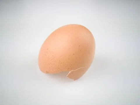 Chicken egg shell 스톡 사진