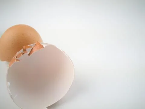 Chicken egg shell 스톡 사진