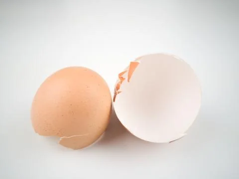 Chicken egg shell 스톡 사진
