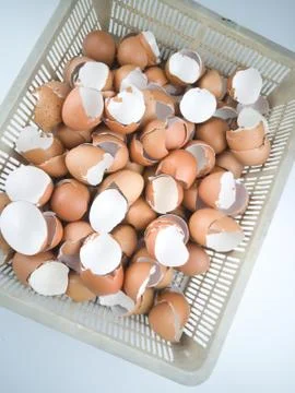 Chicken egg shell 스톡 사진