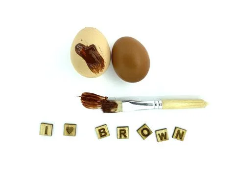 Chicken Egg Shell Quality and Minerals, Vitamin, Pigment Issues Stock Photos