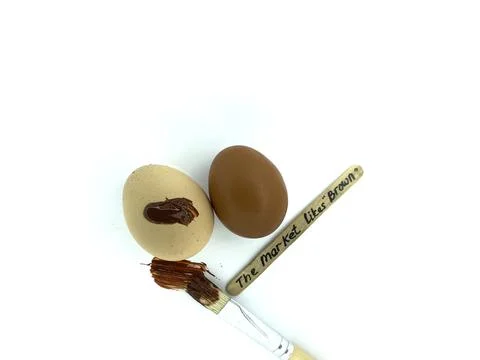 Chicken Egg Shell Quality and Feed additive product promotions Stock Photos