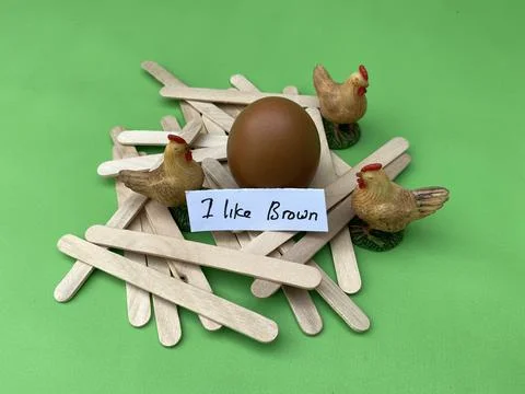 Chicken Egg Shell Quality and breed brown layer Stock Photos