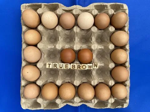 Chicken Egg Shell Quality improvement Stock Photos