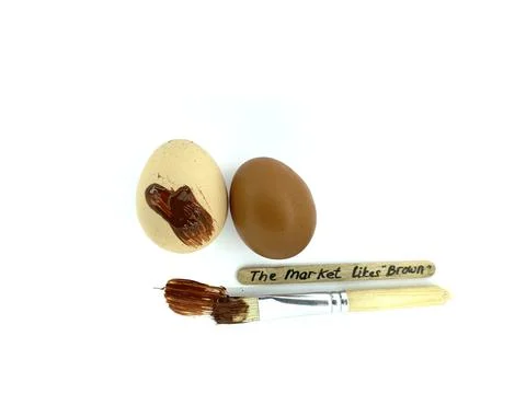 Chicken Egg Shell Quality for layer brown hen Stock Photos
