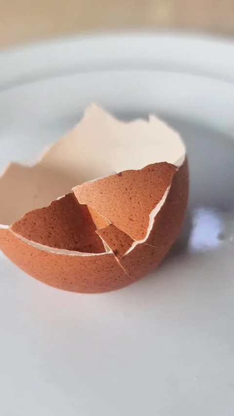 Chicken egg shells that have been peeled Stock Footage 306265048