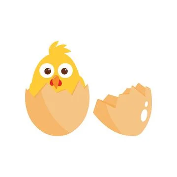 Chicken in egg - vector illustration isolated on white background Stock Illustration
